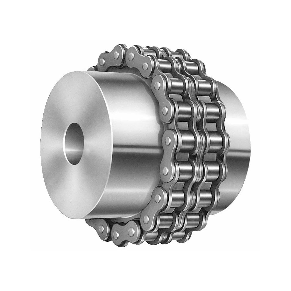 GB6069-85 Roller Chain Coupling